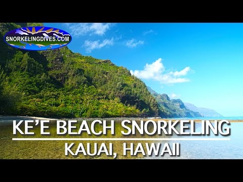 El mejor esnórquel en la playa de Ke'e | Kauai