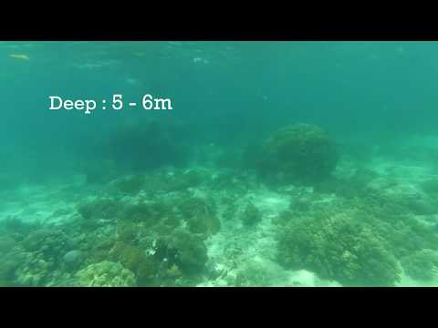 Bangka Island - Snorkeling