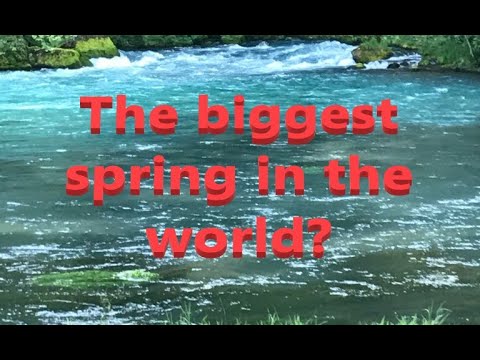 Fun float on the Current River and the biggest spring in Missouri!