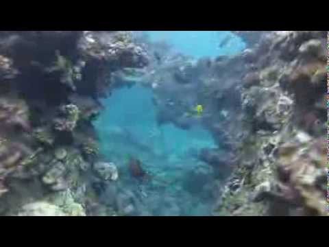 Plongée en apnée dans la baie de Hulopoe, Lanai