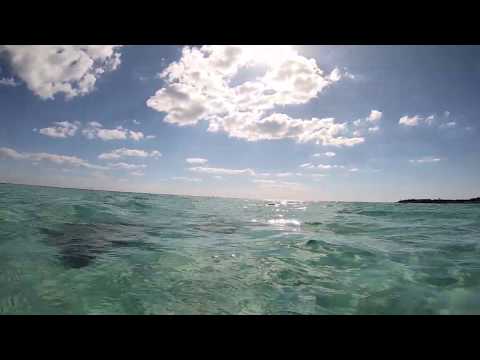 Snorkeling from the Beach at Bahia Honda State Park in the Florida Keys!