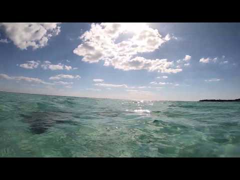 Schnorcheln vom Strand im Bahia Honda State Park in den Florida Keys!