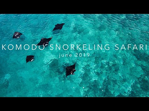 Snorkel Komodo con Snorkel Ventures: Junio 2019