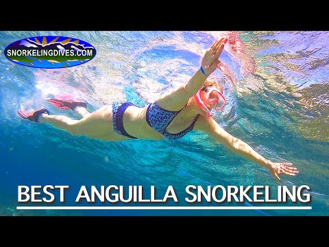Meilleure plongée en apnée à Anguilla
