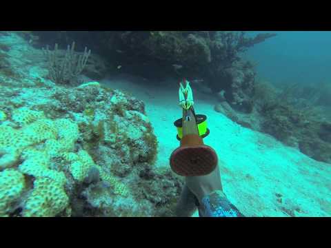Speerfischen in den Florida Keys 2014
