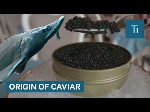Pourquoi le caviar est-il si cher ?