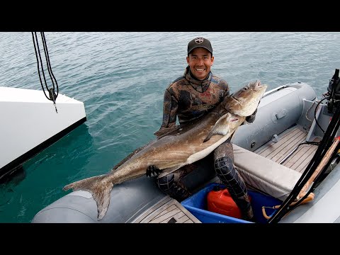 Spearfishing big Cobia off our Catamaran Sailboat (Sailing Popao - Underwater Ally Adventures) Ep.20