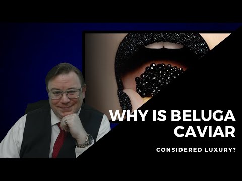 Was ist Beluga-Kaviar und warum ist er so teuer?
