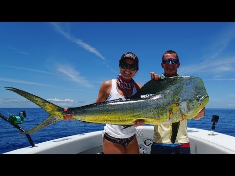 GIANT Dolphin Caught in the Bahamas! Catch Clean Cook- Mahi Mahi (Dorado)