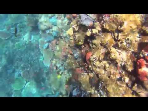 Snorkeling in Batu Bolong, Indonesia