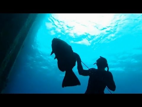 Pesca submarina de meros gigantes en Cozumel - Ted's HoldOver