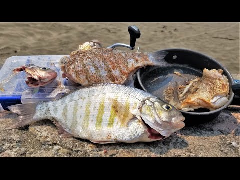 Attraper et cuisiner, c'est facile et amusant 😊 (énorme surprise à la fin !)