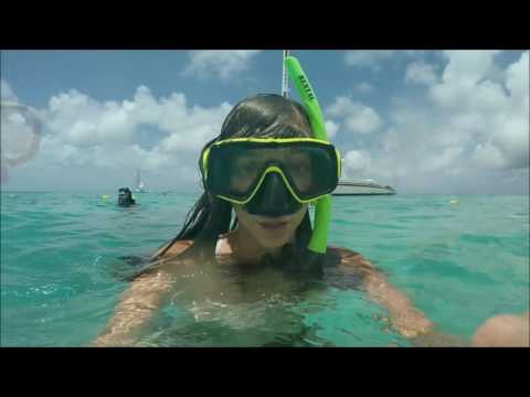 Snorkeling cerca de Catalina Cove Aruba
