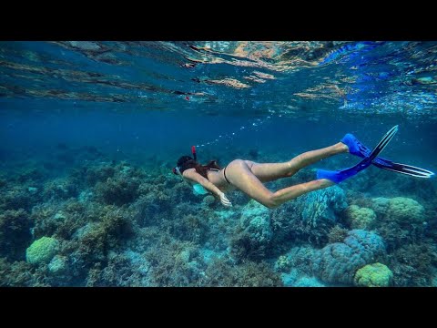 BEST SNORKELING IN THE WORLD | MALDIVES