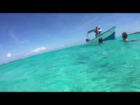 Seesternbucht, Roatan, Honduras