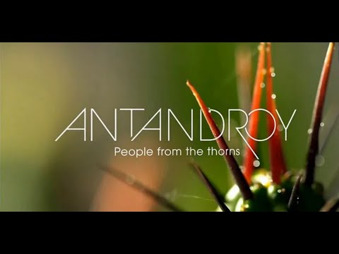 ANTANDROY de F-ONE