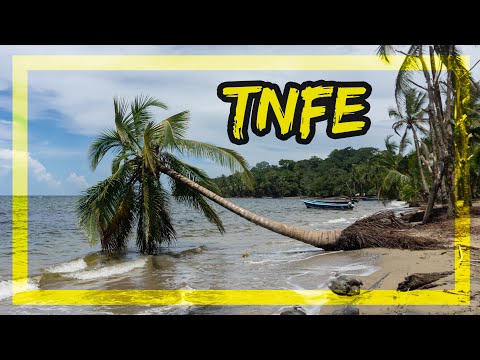 Exploration du Costa Rica : Plongée en apnée dans les récifs de Playa Manzanillo