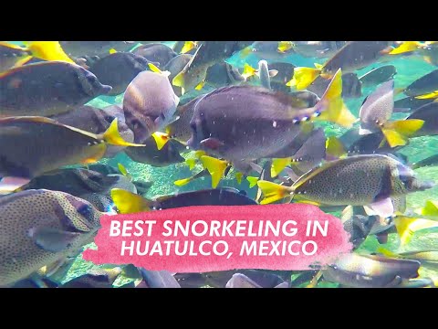 Meilleur snorkeling à Huatulco, Mexique (2020) - Las Brisas Huatulco