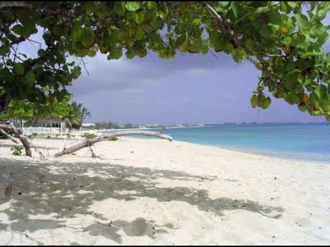 Cemetery Beach Grand Cayman Reef Snorkeling Video & Review