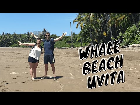 |E37| Snorkeling at Uvita Beach and Exploring Ballena Marine National Park