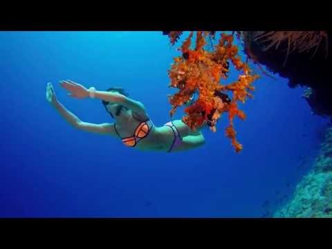 Die Sundizz-Show | FREEDIVING IN MALEDIVEN [The Sun Siyam Iru Fushi - Noonu Atoll]