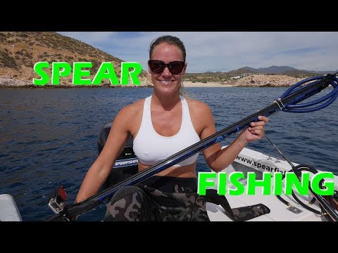Spear Fishing For Beginners - Sailing Doodles