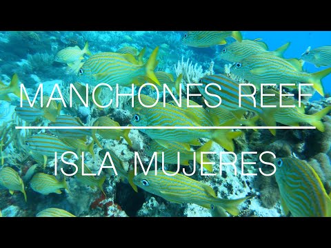 Arrecife Manchones - Isla Mujeres (4K)