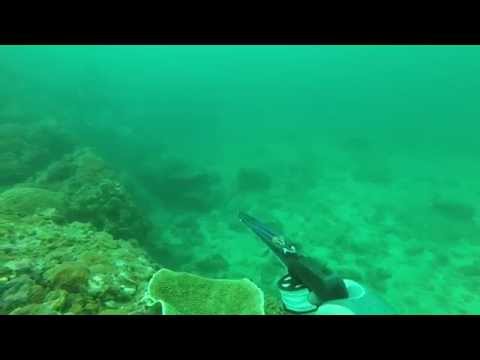 Chasse sous-marine en Thaïlande - Compilation de Krabi 27-08-2015