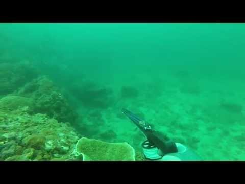 Spearfishing Thailand - Krabi Compilation 27-08-2015