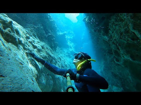 🤿 We went Freediving DEEP into Ginnie Springs 💧 Snorkeling and Exploring the CLEAREST Water on 🌎