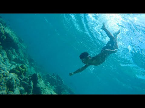 Snorkeling in Arashi Beach - Aruba - 4K
