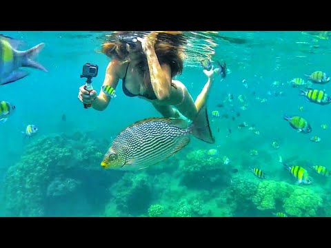 Snorkeling Bamboo & Îles Phi Phi Thaïlande