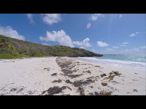 Swimming and Snorkeling In Vieques, Puerto Rico