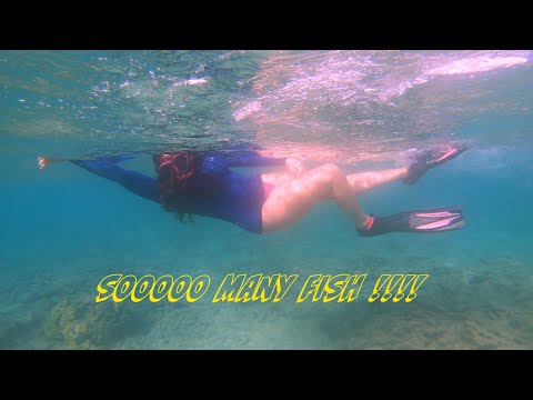 4K SNORKELING KUILIMA COVE / TURTLE BAY - OAHU, HAWAÏ