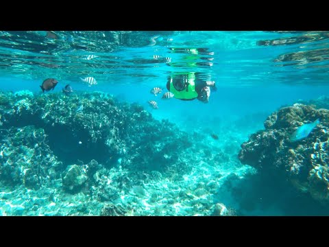 Schnorcheln in der erstaunlichen West Bay in Roatan, Honduras (Tabyana Beach)