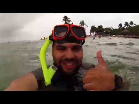 Palomino Island Snorkel