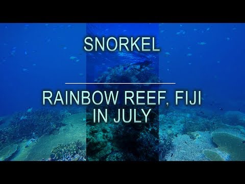 Snorkeling Rainbow Reef Fidji Juillet 2017