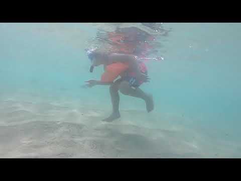 México - Snorkel en el Mar de Cortés