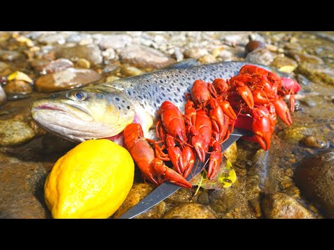 Catch n' Cook BROWN TROUT and River CRAWFISH!