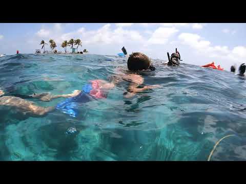 Plongée en apnée au Belize, partie 1 - Tous