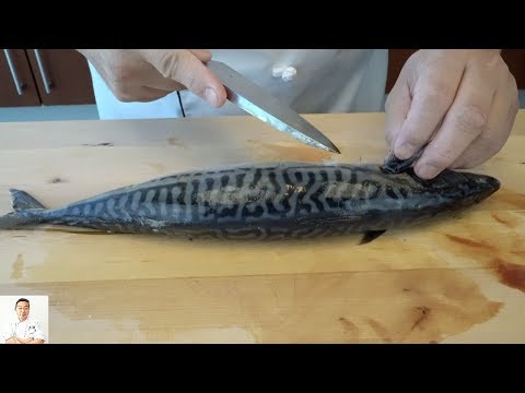 Shime Saba - Traditionelles japanisches Rezept für Sushi