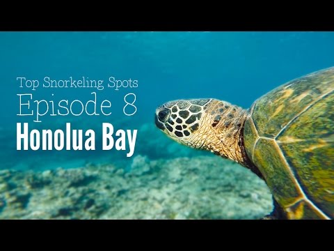 Snorkeling in Hawaii - Honolua Bay Snorkeling Review, Maui