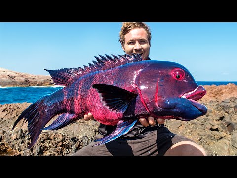 Première personne à capturer ce poisson