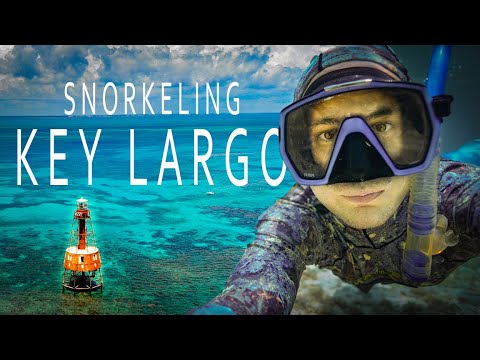Key Largo Snorkeling - Meilleure plongée en apnée en Floride