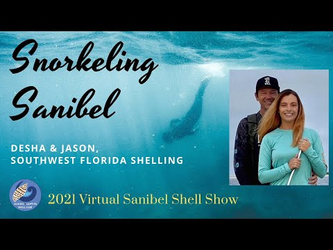 Snorkeling Sanibel