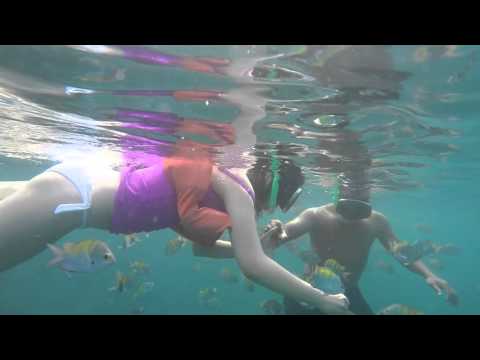 snorkeling in Manuel Antonio