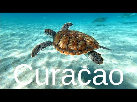 12 meilleurs sites de plongée libre à Curaçao