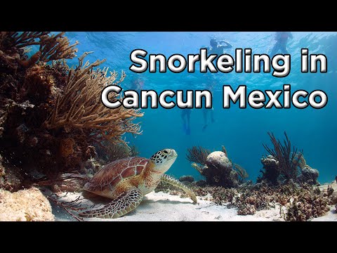 Snorkeling in Mexico Cancun - Jan 2018