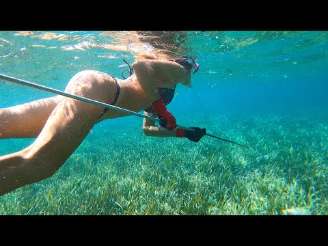 CRYSTAL CLEAR dive in the BAHAMAS