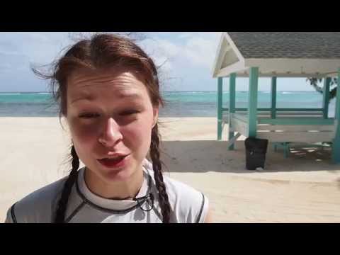 Snorkeling à Grand Cayman - Collier Beach Snorkeling Review